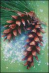 (image for) Evergreen